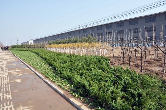 全力以赴、合力攻堅，紮實推進國家園林城市創建工作