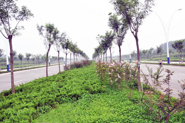 綠化公司開展綠化工程養護工作